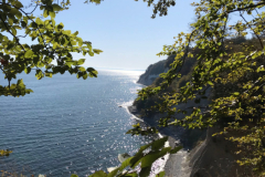 Rueckblick_2020_IMG_4996
